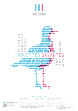 MOUETTES SAV